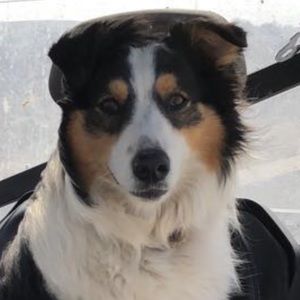 Meet your Posher, Nathan